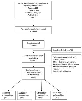 Association Between SCN1A rs2298771, SCN1A rs10188577, SCN2A rs17183814, and SCN2A rs2304016 Polymorphisms and Responsiveness to Antiepileptic Drugs: A Meta-Analysis